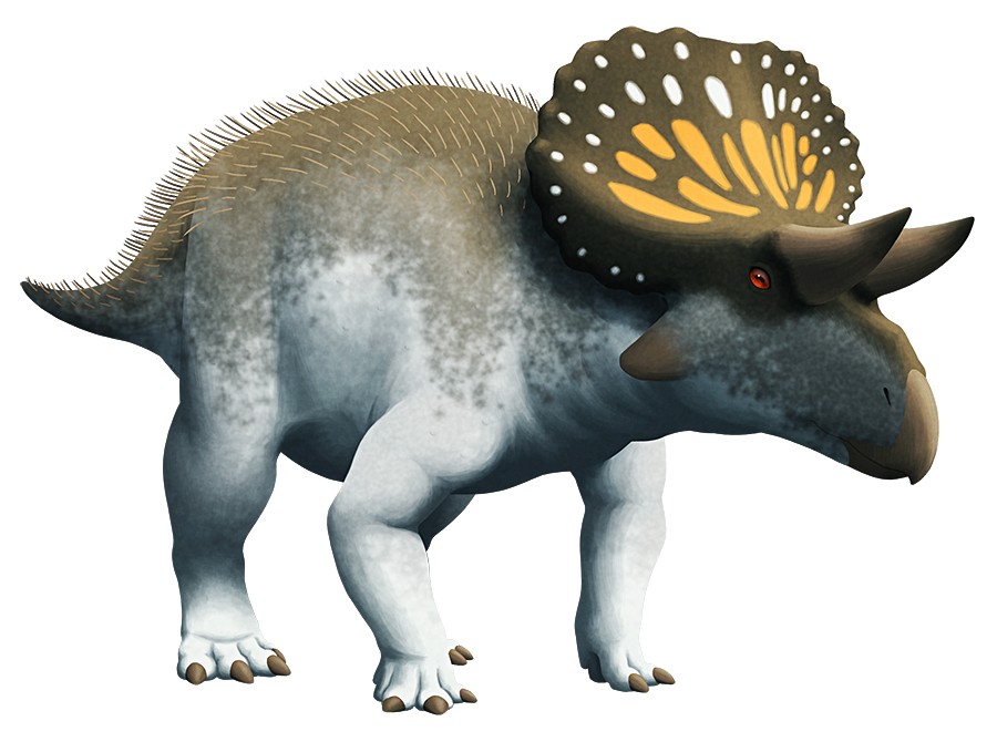 Turanoceratops (SciiFii) | Novum Terram Wiki | Fandom