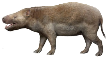 Achaenodon (SciiFii) | Novum Terram Wiki | Fandom