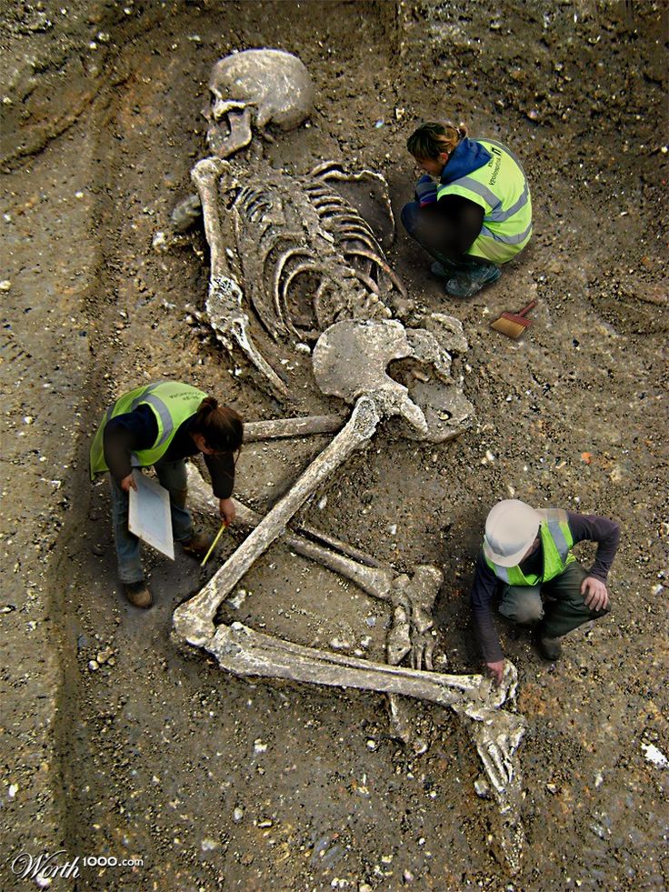 giant human remains