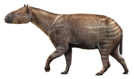 Palaeotherium (SciiFii) | Novum Terram Wiki | Fandom