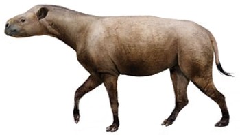 Hyracodon (SciiFii) | Novum Terram Wiki | Fandom