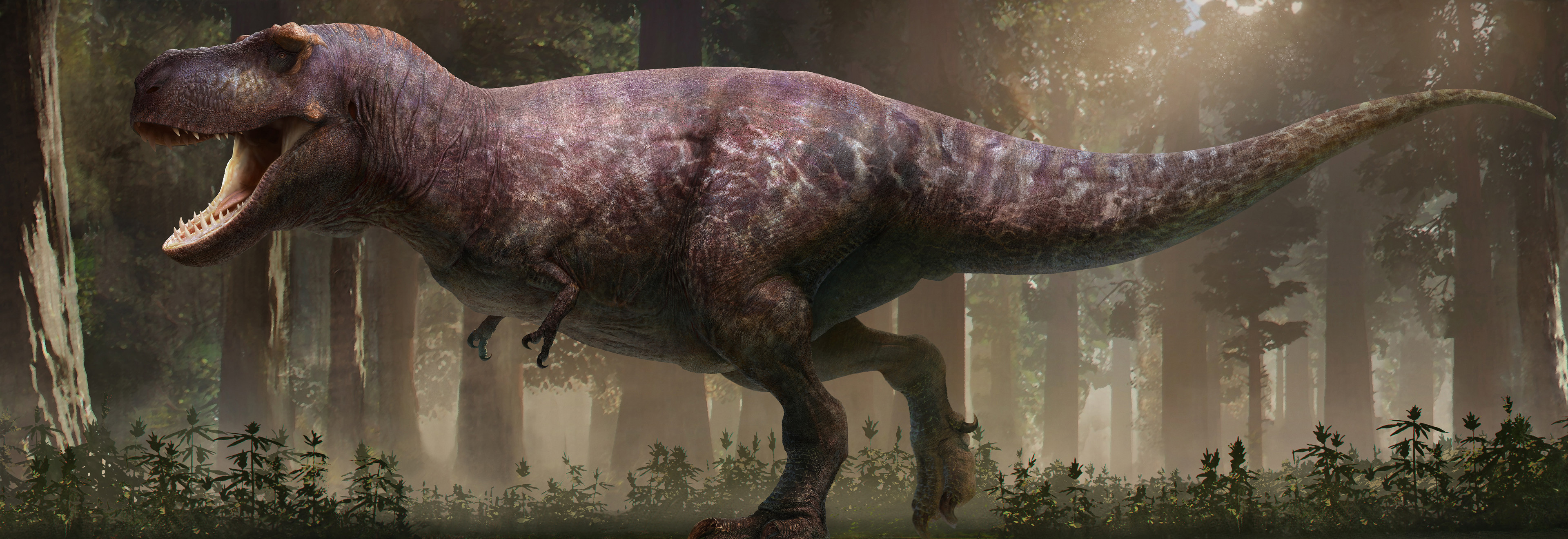 https://static.wikia.nocookie.net/novum-terram/images/e/e9/Tyrannosaurus_rex_gigas.jpg/revision/latest?cb=20200817060555