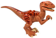 Jurassic Park Velociraptor, one of the new aggressive creatures of this expansion pack, shares the same model and texture as the one from Lego Jurassic World game. It also spawns naturally in rainforests.