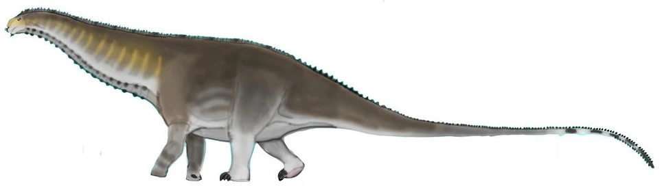Apatosaurus V4 (SciiFii) | Novum Terram Wiki | Fandom