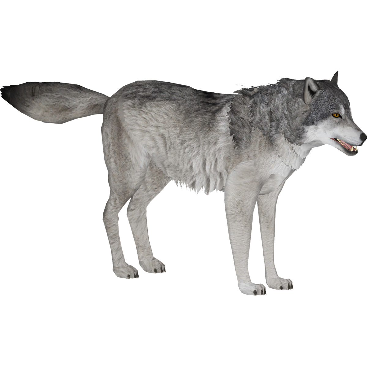 Northwestern wolf - Wikipedia