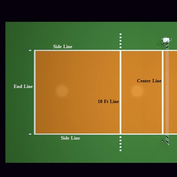 Court Line Names NPHS Volleyball Wikia Fandom