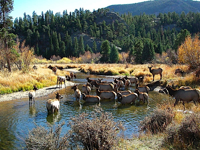 Rocky Mountain National Park - Wikipedia