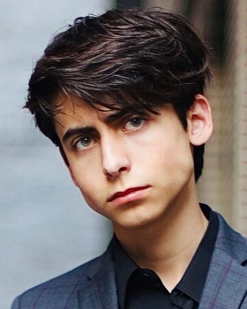 Aidan Gallagher Nicky Ricky Dicky Dawn Wiki Fandom She appeared as a young version of actress elena satine on revenge. aidan gallagher nicky ricky dicky