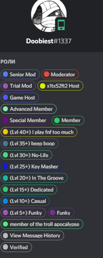 Raid of Friday Night Funkin discord server