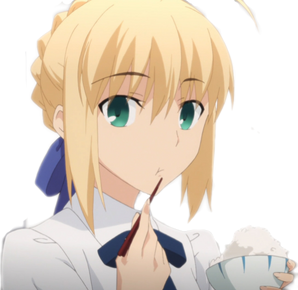 SaberNom.png