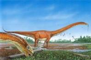 Mamenchisaurus