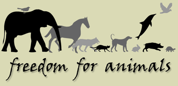 2006logo.gif