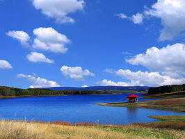 Vlasinsko-jezero