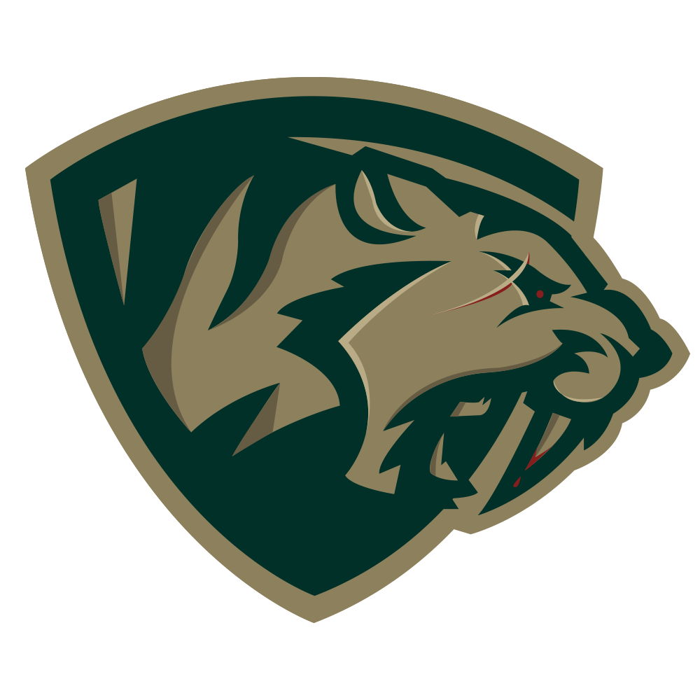 San Jose SaberCats, National Simulation Football League Wiki