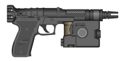 PP-1.png