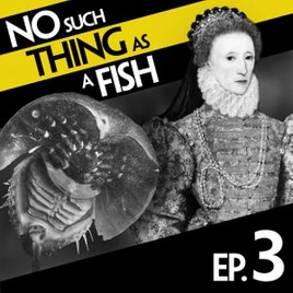 631a-e048-4e5b-9a8d-678cc4acd734