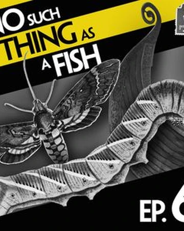 Episode 6 No Such Thing As One Direction In North Korea No Such Thing As A Fish Wiki Fandom Episode 6 No Such Thing As One Direction In North Korea No Such Thing As A Fish Wiki Fandom