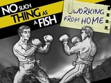 Episode 361: No Such Thing As The Mosquito Effect