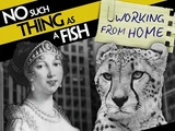 Episode 365: No Such Thing As A Smart Cheetah At Harvard