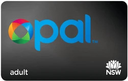 Opal Adult