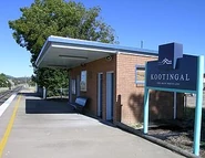 Kootingal