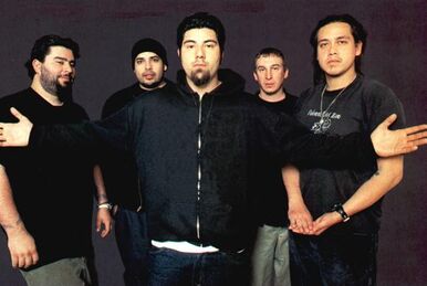 Adidas chino moreno wiki cheap
