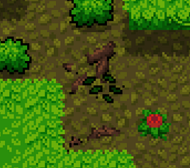 Jungle