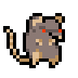 Rat