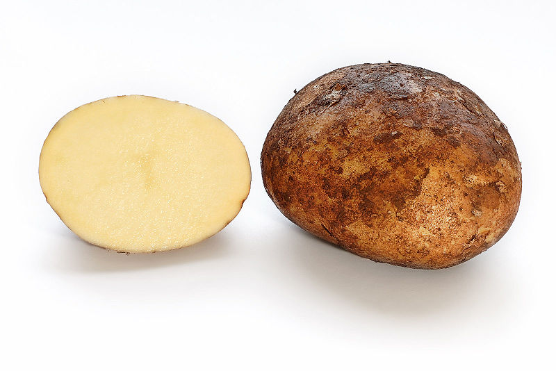 Russet potato - Wikipedia