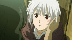 Shion 紫苑 No 6 Wiki Fandom