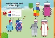 The Odd Blocks and Even Tops page. Note that Eight uses his original Season 2 design instead of his current one.