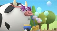 Cow blowing bubbles