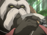 Inugamigyōbu Danuki