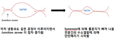 노화.png