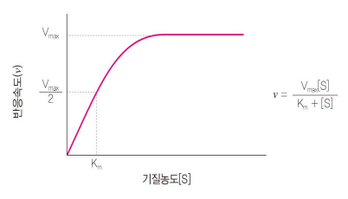 미카엘리스.png