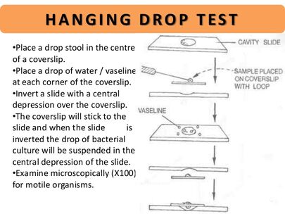 hanging drop slide