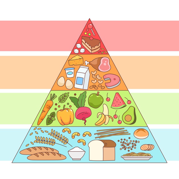Tipos de alimentos, Wiki Nutrición variada