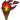 Newtorch.png
