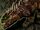 Basilisk