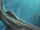 Goblin shark