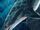 Mako shark