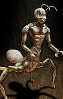 Formian worker portrait