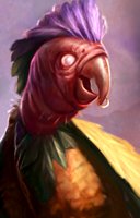 Parrot portrait