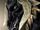 Black dragon