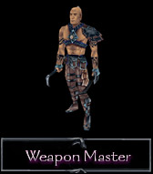neverwinter nights 2 weapon master