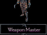 Weapon master