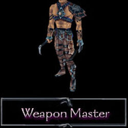 Weapon master
