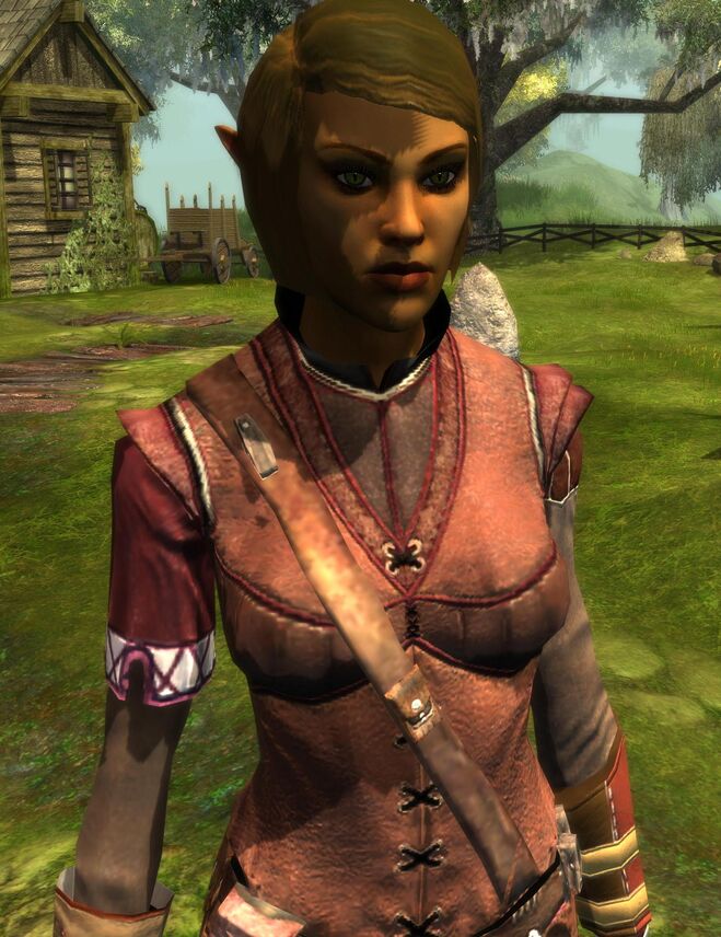 Wood elf | NWN2Wiki | Fandom