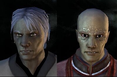Yuan Ti Purebloods sm.jpg
