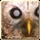 Is owlswisdom